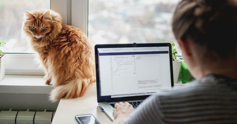 tips for your new work from home routine